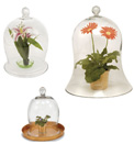 Achla Bell Jars