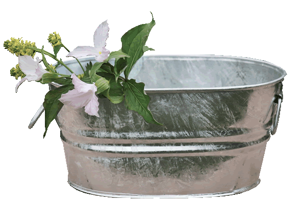 1 Gallon Wash Tub Planter