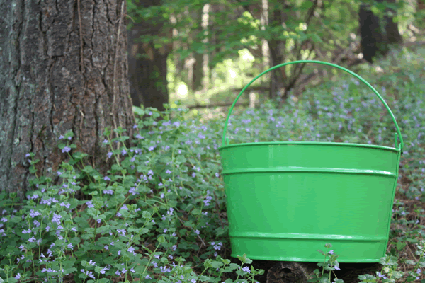 Large Electric Green Bucket