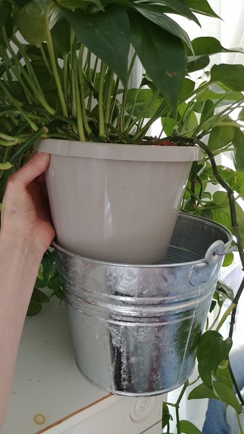 galvanized indoor planter