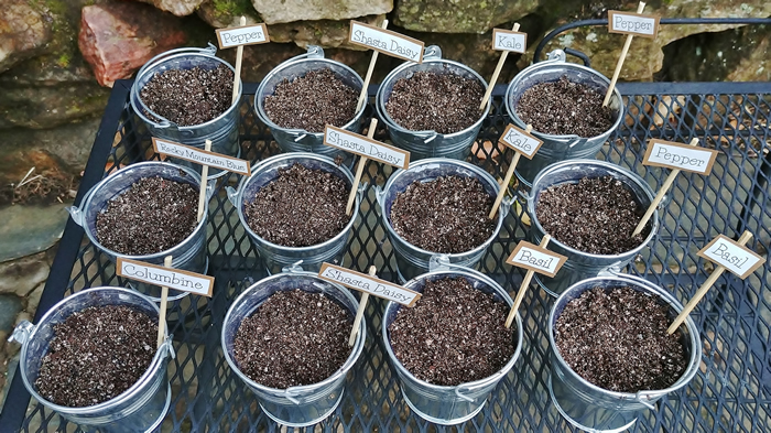galvanized seed starting pots