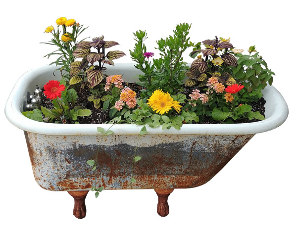 rustic tub planter