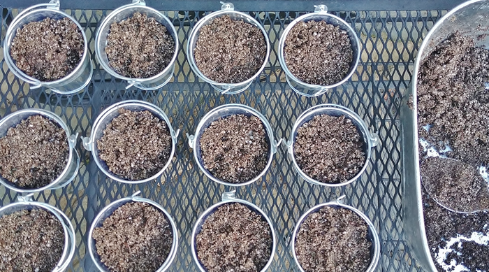 galvanized seed starters