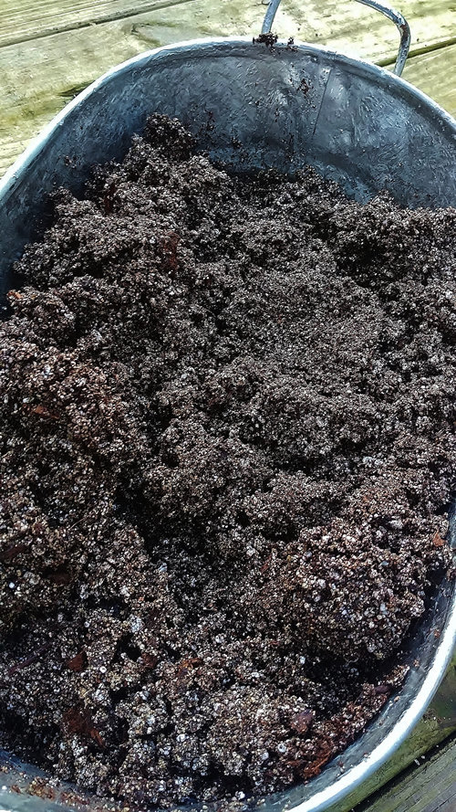 hydrated potting soil for galvanized planter