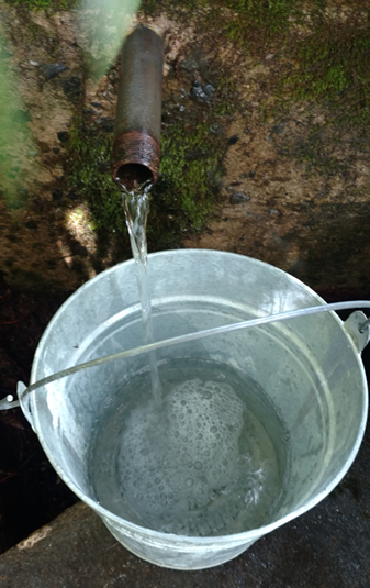 galvanized metal water bucket