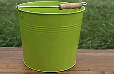 Green Simple Metal Bucket With Wooden Handle