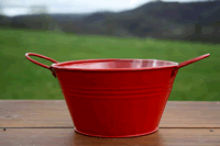 Red Mini Tub With Handles