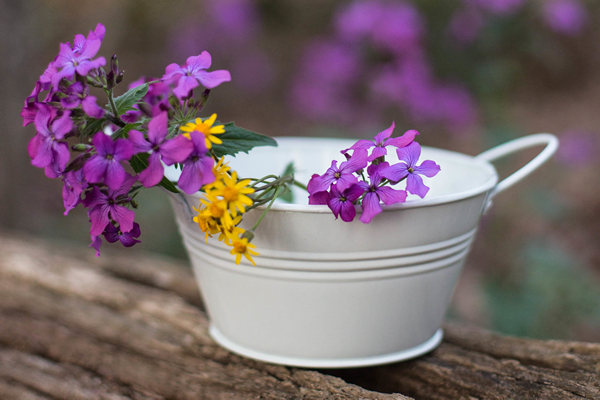 Simple Metal Pails